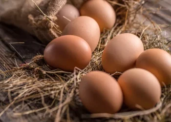 ارتفاع أثمنة البيض يصل لقبة البرلمان