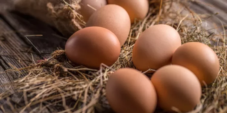 ارتفاع أثمنة البيض يصل لقبة البرلمان