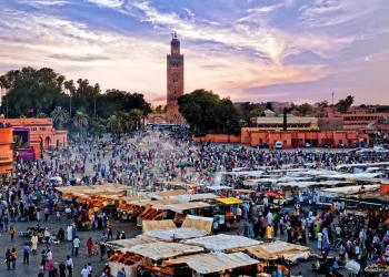 المدينة الحمراء تحتضن المهرجان العالمي للشعر
