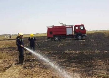 إندلاع حر_يق مهول بمحصول زراعي بإقليم الفقيه بنصالح