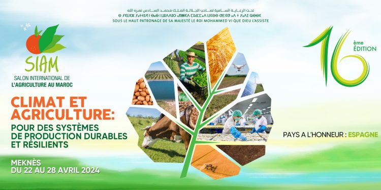 مؤسسات وطنية تعزز تعاونها في المجالات العلمية والتقنية بالمعرض الدولي للفلاحة بمكانس
