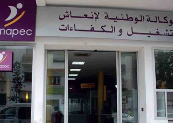 مجلس الحكومة يصادق على تعيين مديرة جديدة لوكالة “الأنابيك”