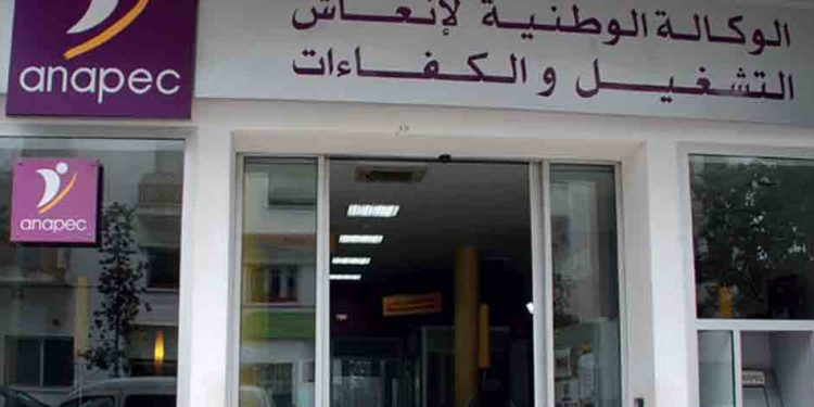 مجلس الحكومة يصادق على تعيين مديرة جديدة لوكالة “الأنابيك”
