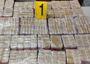 إحباط عملية تهريب 467 كيلوغرام من مخدر الشيرا بميناء طنجة