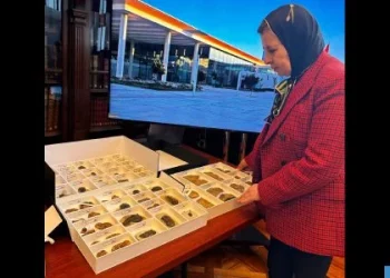 المغرب يستعيد من الشيلي 117 قطعة أحفورية يعود تاريخها إلى 400 مليون سنة