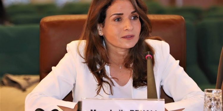 وزيرة الانتقال الطاقي والتنمية المستدامة تتباحث مع المدير العام للوكالة الدولية للطاقة بباريس