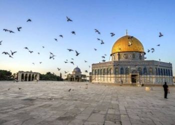 المغرب يشيد باعتماد قرار يدعم طلب العضوية الكاملة لدولة فلسطين بالأمم المتحدة
