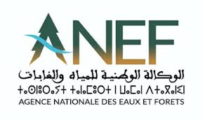 الرباط..اللجنة التوجيهية الخاصة بالمرحلة الثانية لمشروع المهن الخضراء تلتئم للمصادقة على خارطة طريق 2024