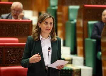 كابوس ضعف وانقطاع صبيب الأنترنيت يسائل غيثة مزور