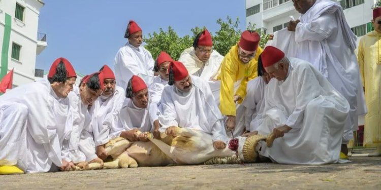 الملك محمد السادس يؤدي صلاة العيد بتطوان وينحر الأضحية