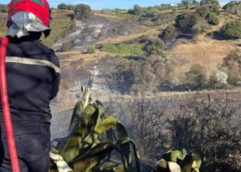 حريق يأتي على 12 هكتار قرب طنجة