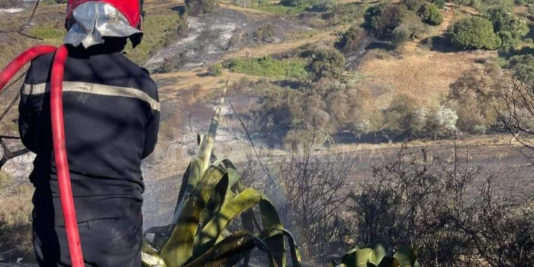 حريق يأتي على 12 هكتار قرب طنجة