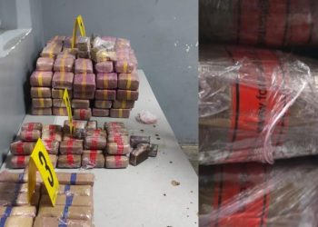 ضبط محاولة تهريب كمية من المخ_درات بميناء طنجة المتوسط