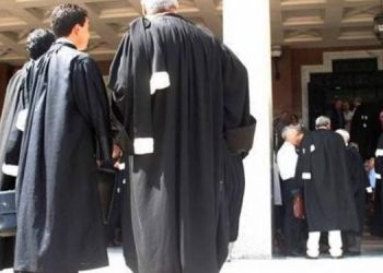 أتعاب المحامين تكلف أزيد من 4 مليار سنتيم خلال سنة
