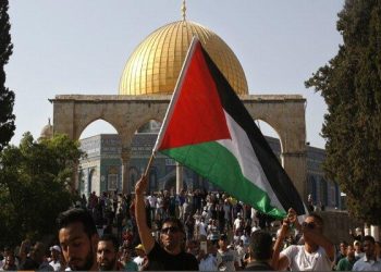 دولة أوروبية جديدة تعلن اعترافها رسميا بفلسطين