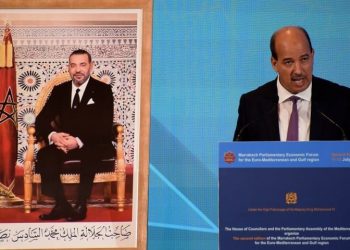 ميارة يدعو إلى إحداث آلية برلمانية لتتبع تنزيل أهداف التنمية المستدامة