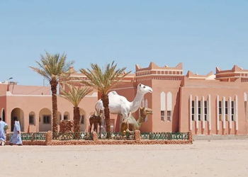 مهرجان أسبوع الجمل بكلميم في نسخته الـ 11 بين 21 و 28 يوليوز