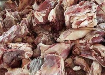 ضبط كمية من اللحوم الفاسدة في مطاعم شاطئ اصفيحة بالحسيمة