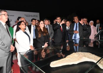 بنسعيد: المغرب استعاد عدداً مهماً من المستحاثات الأثرية المهربة إلى الخارج