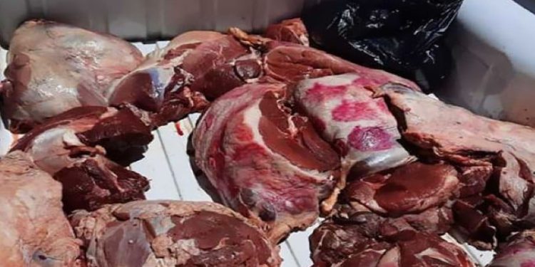 حجز كمية من اللحوم الفاسدة بالمضيق