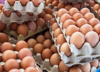 تراجع أسعار البيض بالأسواق المغربية