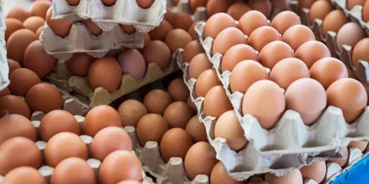 تراجع أسعار البيض بالأسواق المغربية