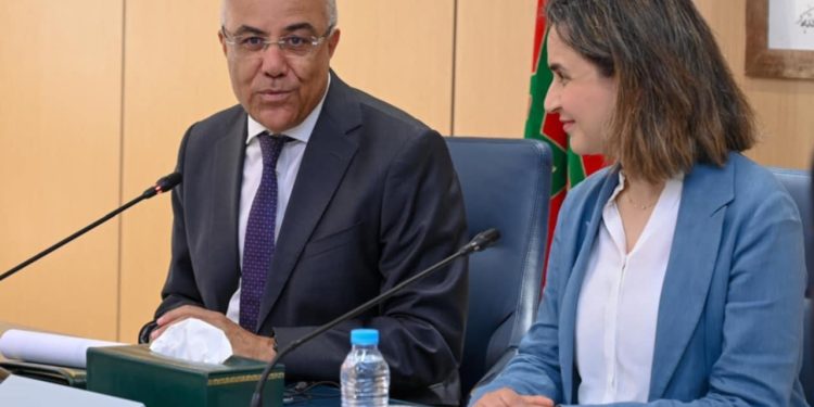 غيثة مزور تترأس إلى جانب عبد اللطيف الميراوي الاجتماع الأول للجنة القيادة الخاصة ببرنامج تعزيز المواهب الرقمية