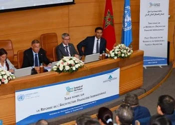 لقجع يدعو إلى إشراك البلدان النامية في إصلاح الهندسة المالية الدولية