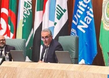 المغرب يترأس بالقاهرة الجلسة العامة حول ولوج المهاجرين للخدمات الأساسية