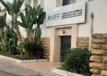 الوكالة الوطنية للمياه والغابات تصدر بلاغا جديدا