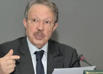 الحليمي: “جميع رؤساء الحكومات سعوا لإقالتي