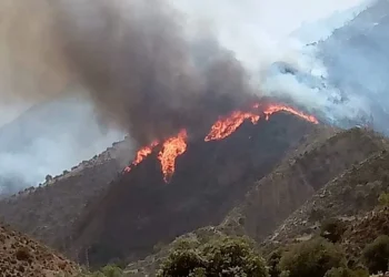 حريق بتازة يلتهم مساحة مهمة من الغطاء الغابوي