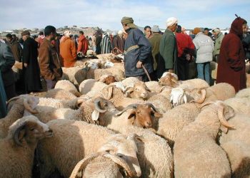 نقابة تابعة لحزب سياسي تطالب بتمديد العطل الدينية