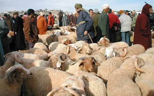 نقابة تابعة لحزب سياسي تطالب بتمديد العطل الدينية