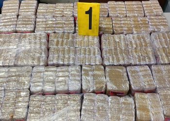 حجز 22 كلغ من مخدر الشيرا بمعبر باب سبتة
