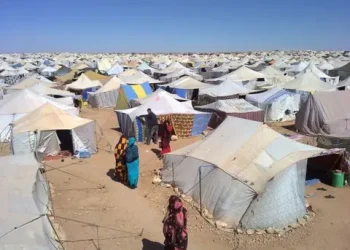 الجبهة الانفصالية تقدم على إركتاب فضائع في حق محتجزي مخيمات تندوف