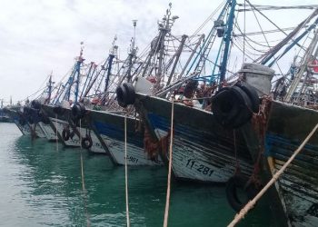 ميناء الداخلة..ارتفاع مفرغات الصيد الساحلي والتقليدي بـ 20 بالمائة