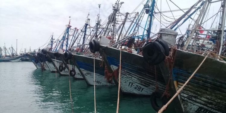 ميناء الداخلة..ارتفاع مفرغات الصيد الساحلي والتقليدي بـ 20 بالمائة