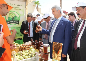 انطلاق فعاليات النسخة الخامسة من المهرجان الجهوي للتين ببركان