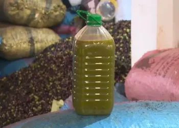 غلاء أثمنة زيت الزيتون يسائل وزير الفلاحة