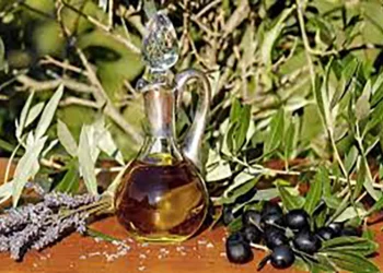 محمد الصديقي مطلوب بالبرلمان بسبب ثمن زيت الزيتون