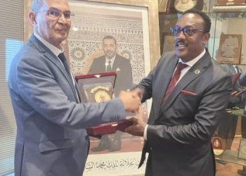 مسؤول بارز بالمديرية العامة للأمن الوطني يزور أديس أبابا