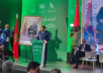 أخنوش يؤكد على التماسك بين الأغلبية الحكومية