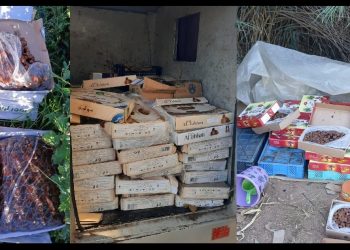 توقيف شخص للاشتباه في تورطه في قضية تتعلق بتخزين وترويج مواد غذائية فاسدة