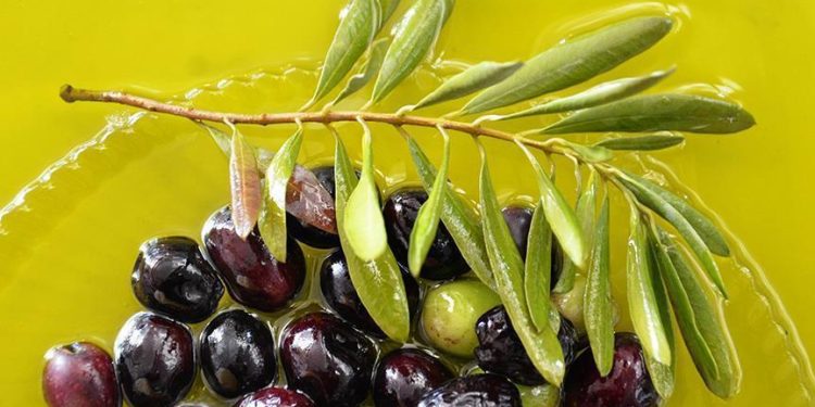 الغش في إنتاج زيت الزيتون بالمغرب يساءل وزير الفلاحة