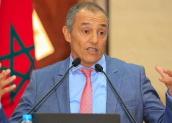 الشامي يرد على تصريحات أوجار : لازلت رئيسا للمجلس الاقتصادي