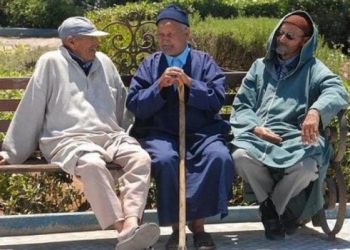 مطالب برلمانية بمراجعة معاشات المتقاعدين