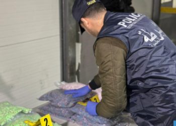ضبط شحنة من الأقراص المهلوسة بميناء طنجة المتوسط