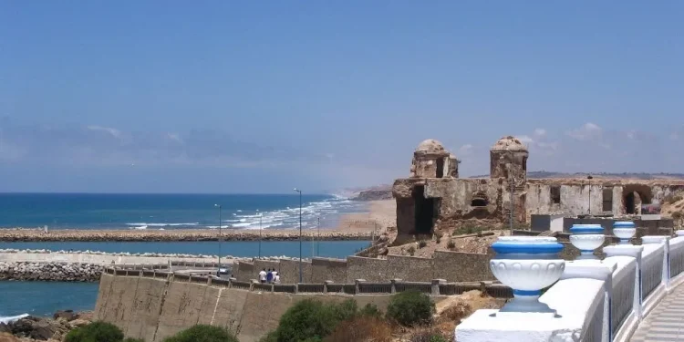 برلماني يطالب بتوقف القطار في العرائش