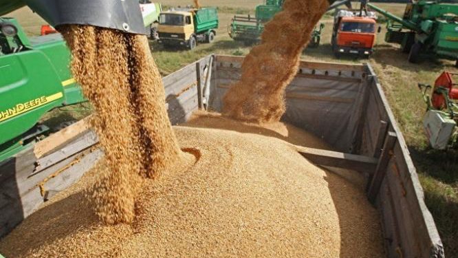 ارتفاع واردات المغرب من الحبوب الروسية إلى أزيد من 7 مليون قنطار